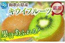 ＜11月より発送＞厳選 キウイフルーツ5kg+250g（傷み補償分）【扁平果】/ 和歌山 果物 フルーツ ふるーつ キウイ キウイフルーツ 【ikd133D】