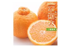 【先行予約】＜2月より発送＞家庭用不知火2.5kg+250g（傷み補償分）＜2月より発送＞【デコポンと同品種・人気の春みかん】【光センサー食頃出荷】【わけあり・訳あり】【ikd053D】
