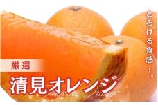 ＜2月より発送＞厳選 清見オレンジ 2.5kg+250g（傷み補償分）【光センサー食頃出荷】【樹上完熟きよみオレンジ・清見タンゴール・清美】 / みかん くだもの 果物 オレンジ 和歌山 フルーツ きよみオレンジ【ikd165B】