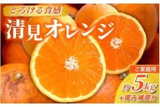 ＜2026年2月より発送＞家庭用 清見オレンジ 5kg+250g（傷み補償分）【光センサー食頃出荷】【樹上完熟きよみオレンジ・清見タンゴール・清美】【わけあり・訳あり】 / オレンジ 清見 おれんじ みかん 柑橘 有田 産地直送 くだもの 果物 フルーツ 柑橘類 和歌山 由良町【ikd166C】