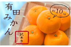 紀州有田みかん 約１０kg　訳あり　キズ　御家庭用　サイズ混合 【sml110C】 ※2025年11月下旬～2026年1月中旬頃順次発送予定