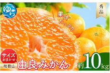 由良みかん 秀品 約10kg サイズおまかせ(Ｌ・М・Ｓ) / 和歌山 みかん 柑橘 高級 甘い オレンジ 由良 完熟 ※2025年11月下旬～2026年1月中旬頃に順次発送予定【sml111A】 