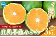 由良 早生 みかん （ 秀品 ） 約3kg / 極早生 早生みかん 温州みかん ゆらわせ 柑橘 密柑 甘い 和歌山 由良町 サイズおまかせ 先行予約 ※2025年10月上旬～11月上旬頃順次発送予定【sml107C】