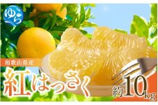 【来シーズン先行予約】和歌山県産 紅 はっさく 不揃い 約10kg  サイズおまかせ【2026年2月中旬～順次発送予定】※北海道・沖縄・離島配送不可 / 晩柑 コク ほろ苦い ビタミン 八朔 ハッサク 柑橘 由良町 柑橘 果物 フルーツ くだもの 産地直送 和歌山【eiw009】