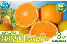 【先行予約】和歌山県産 ゆら早生みかん 3kg  ※2025年10月中旬頃より順次発送予定 / 和歌山県 柑橘 みかん 甘い 蜜柑 フルーツ 果物 くだもの 食品 人気  晩柑 おすすめ 送料無料 産地直送 由良町【kzmn003A】
