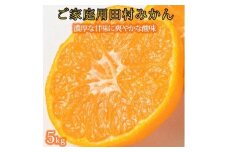 【ご家庭用訳あり】田村みかん　５kg【2025年12月上旬以降発送】【先行予約】【UT18】【uot754A】