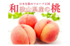 紀州和歌山産の桃 15玉 化粧箱入 【2025年6月下旬より順次発送】【UT97】【uot780A】