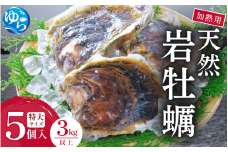 天然岩牡蠣（加熱食用）特大サイズ5個入（3kg以上）【skmn005】