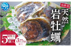天然岩牡蠣（加熱食用）超特大サイズ5個入（3.75kg以上）　【skmn006】
