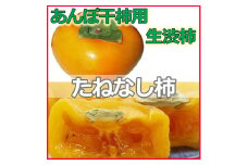 生渋柿たね無 あんぽ柿用T軸枝無約14.5～15kg　約60～90個＜2025年10月中旬～11月上旬ごろ順次発送＞【ART15】【art002A】