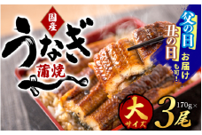 【丑の日までにお届け!!】大型サイズ 国産うなぎ蒲焼き 3尾 化粧箱入【2025年7月19日までにお届け】/ うなぎ 土用の丑の日 国産うなぎ 蒲焼 蒲焼き かば焼き 鰻屋 冷凍 真空 ギフト【uot303A-dy】