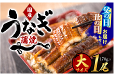 【丑の日までにお届け!!】大型サイズ 国産うなぎ蒲焼き １尾（約2人前）化粧箱入 / うなぎ 土用の丑の日 国産うなぎ 蒲焼 蒲焼き かば焼き 鰻屋 冷凍 真空 ギフト【uot714A-dy】