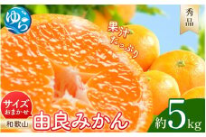 由良みかん 秀品 約10kg サイズおまかせ(Ｌ・М・Ｓ) / 和歌山 みかん 柑橘 高級 甘い オレンジ 由良 完熟 ※2025年11月下旬～2026年1月中旬頃に順次発送予定【sml137】