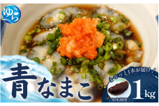 先行予約 活 なまこ 青なまこ 1kg 【2025年12月20日より順次発送】 / ナマコ 海の幸 由良町 新鮮 刺身 珍味 産地直送 海産物 特産 和歌山県【skmn014】
