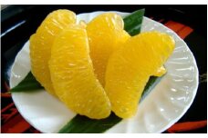 和歌山由良町産 はっさく 約3kg サイズ混合 【訳あり ご家庭用 キズあり】【SL39】【sml121A】
