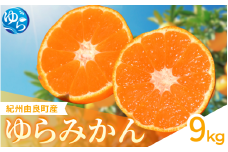 【先行予約】ゆらみかん 9kg ※2025年12月上旬頃から順次発送予定 / 温州みかん 和歌山県 柑橘 みかん 甘い 蜜柑 フルーツ 果物 くだもの 食品 人気   おすすめ 送料無料 産地直送 由良町【kzmn017】