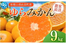 【先行予約】ゆらみかん 9kg ※2025年12月上旬頃から順次発送予定 / 温州みかん 和歌山県 柑橘 みかん 甘い 蜜柑 フルーツ 果物 くだもの 食品 人気   おすすめ 送料無料 産地直送 由良町【kzmn017】