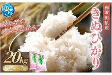米 キヌヒカリ 20kg(10kg×2) 和歌山県産 【2024年産】【SL26】 / お米 きぬひかり 白米 由良町 令和6年 人気 おすすめ【sml910】