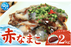 【先行予約】活 なまこ 赤なまこ2kg ※2025年12月20日より順次発送【skmn013】