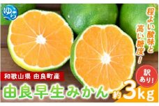 【訳あり】由良早生 みかん 約3kg / 和歌山  わけあり キズ 家庭用 サイズ混合 由良 ※2025年10月上旬～11月上旬頃、順次発送予定【sml126B】