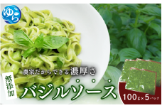 農家だからできる濃厚『無添加　バジルソース』 パック 100ｇ×5【fmlb045】