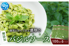 農家だからできる濃厚『無添加　バジルソース』 パック 100ｇ×6【fmlb046】