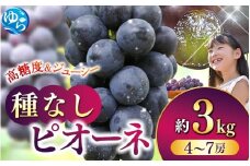 【2025年産 配送開始！】和歌山かつらぎ町産たねなしピオーネ約3kg★2025年8月中旬頃より順次発送 / ピオーネ ぶどう 葡萄 和歌山 由良 旬 甘い 種なし 高級 大粒【tec952A】