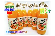 紀州のみかん果汁（和歌山県産） 970ml×6本セット【KF6】【frks079】