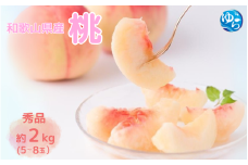桃【2025年先行予約】和歌山県産 桃 5玉～8玉 約2kg 秀品 2025年7月上旬から2025年8月下旬発送予定 桃 モモ フルーツ 果物 くだもの 人気 産地直送 厳選 甘い 予約 もも フルーツ王国【uts063】