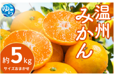 【先行予約】温州みかん（サイズおまかせ） 約5kg【2025年12月中旬から順次発送予定】※北海道・沖縄・離島配送不可 / ミカン 蜜柑 フルーツ 果物 柑橘 果実 由良町 国産 産地直送 和歌山県【eiw010】