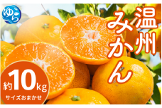 【先行予約】温州みかん（サイズおまかせ） 約10kg 【2025年12月中旬から順次発送予定】※北海道・沖縄・離島配送不可 / ミカン 蜜柑 フルーツ 果物 柑橘 果実 由良町 国産 産地直送 和歌山県【eiw011】