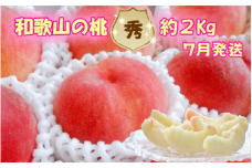 【秀品】和歌山ブランド白桃 約2kg！2025年 7月発送分【NGT6】【ngt302】