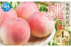 和歌山県産の桃 約4kg（11~15個）【2025年7月上旬～8月上旬発送】※北海道・沖縄・離島配送不可  / 桃 モモ フルーツ 果物 くだもの 人気 産地直送 厳選 甘い 予約 もも フルーツ王国 旬 由良町  【eiw013】
