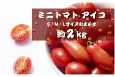 【5月発送】ミニトマトアイコ(松トマト) 約2kg（S・M・Lサイズおまかせ）【sml131A-5】