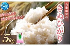 和歌山県産キヌヒカリ 5kg（2024年産）［SL27］ / お米 きぬひかり 白米 由良町 令和6年 人気 おすすめ【sml101D】