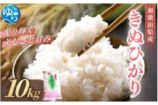 和歌山県産 米 キヌヒカリ 10kg  (2024年産)【SL28】 / お米 きぬひかり 白米 由良町 令和6年 人気 おすすめ 【sml100D】