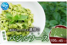 お得なパック入り45袋　農家だからできる濃厚『 バジルソース　ジェノベーゼ』【fmlb052】