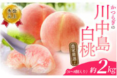 桃 【2025年先行予約】川中島白桃　約2kg 6～8個入【2025年7月末頃から順次発送】【秀品】こだわり農家厳選 桃 モモ フルーツ 果物 くだもの 人気 産地直送 厳選 甘い 予約 もも フルーツ王国【kgr011】