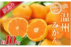 【訳あり】 森本農園の手選別 みかん 約10kg 和歌山県産 2S~2Lサイズ混合 【2025年11月上旬～2026年2月中旬ごろに順次発送】【RN10】【mrmt010】
