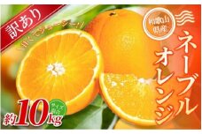 【訳あり】 森本農園の手選別 ネーブルオレンジ 約10kg 和歌山県産 サイズ混合 【2026年1月上旬～2月中旬頃に順次発送】【RN20】【mrmt020】