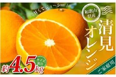 【家庭用】 森本農園の手選別 清見オレンジ 約4.5kg 和歌山県産 サイズ混合 【2026年2月上旬～5月中旬頃に順次発送】 きよみ 清見 柑橘 ご家庭用 期間限定 由良町 果物 フルーツ 和歌山県