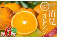 【訳あり】 森本農園の手選別 清見オレンジ 約6kg 和歌山県産 サイズ混合 【北海道・沖縄・離島配送不可】【2026年2月上旬～5月中旬頃に順次発送】 清見 きよみ オレンジ みかん ミカン 柑橘 期間限定 由良町 果物 フルーツ 和歌山県