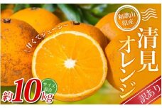 【訳あり】 森本農園の手選別 清見オレンジ 約10kg 和歌山県産 サイズ混合 【2026年2月上旬～5月中旬頃に順次発送】 清見 きよみ オレンジ 柑橘 期間限定 由良町 果物 フルーツ 和歌山県