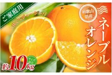 【家庭用】 森本農園の手選別ネーブルオレンジ 約10kg 和歌山県産 サイズ混合 【2026年1月上旬～2月中旬頃に順次発送】【RN35】【mrmt035】
