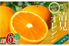 【家庭用】 森本農園の手選別 清見オレンジ 約6kg 和歌山県産 サイズ混合 【2026年2月上旬～5月中旬頃に順次発送】 きよみ 清見 柑橘 ご家庭用 期間限定 由良町 果物 フルーツ 和歌山県