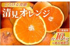 ＜2026年2月より発送＞家庭用 清見オレンジ 10kg+250g（傷み補償分）【光センサー食頃出荷】【樹上完熟きよみオレンジ・清見タンゴール・清美】【わけあり・訳あり】 / オレンジ 清見 おれんじ みかん 柑橘 有田 産地直送 くだもの 果物 フルーツ 柑橘類 和歌山 由良町【ikd242】