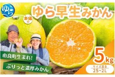 ゆら早生 みかん 5kg / 柑橘 和歌山県 由良町 極早生 早生 早生みかん 柑橘 甘い 完熟 密柑 人気 おすすめ くだもの 果物 フルーツ 農家直送 産地直送 混合 ※2025年10月中旬～10月下旬順次発送  【nktn001-sp】