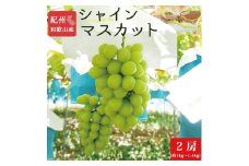 紀州和歌山産 シャインマスカット2房（約1kg~1.4kg）【UT120】【uot813】
