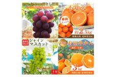 【全4回】紀州和歌山産旬のフルーツセット(巨峰・シャイン・みかん・不知火) / 果物定期便 フルーツ定期便 みかん オレンジ 柑橘 くだもの 果物 シャイン マスカット ぶどう 巨峰 しらぬい 不知火【UT123】【tkb399】