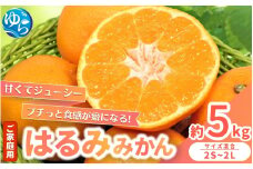 【来シーズン先行予約】家庭用 はるみみかん 約5kg ※2026年2月上旬～順次発送農家直送 / くだもの  果実  柑橘 果物 フルーツ 国産 和歌山県 由良町 ご家庭用 人気 おすすめ【nktn006】